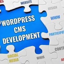 Business Website Development Professional and Affordable